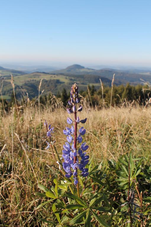 Pension Gasthof Zum Lamm Bischofsheim an der Rhön Buitenkant foto